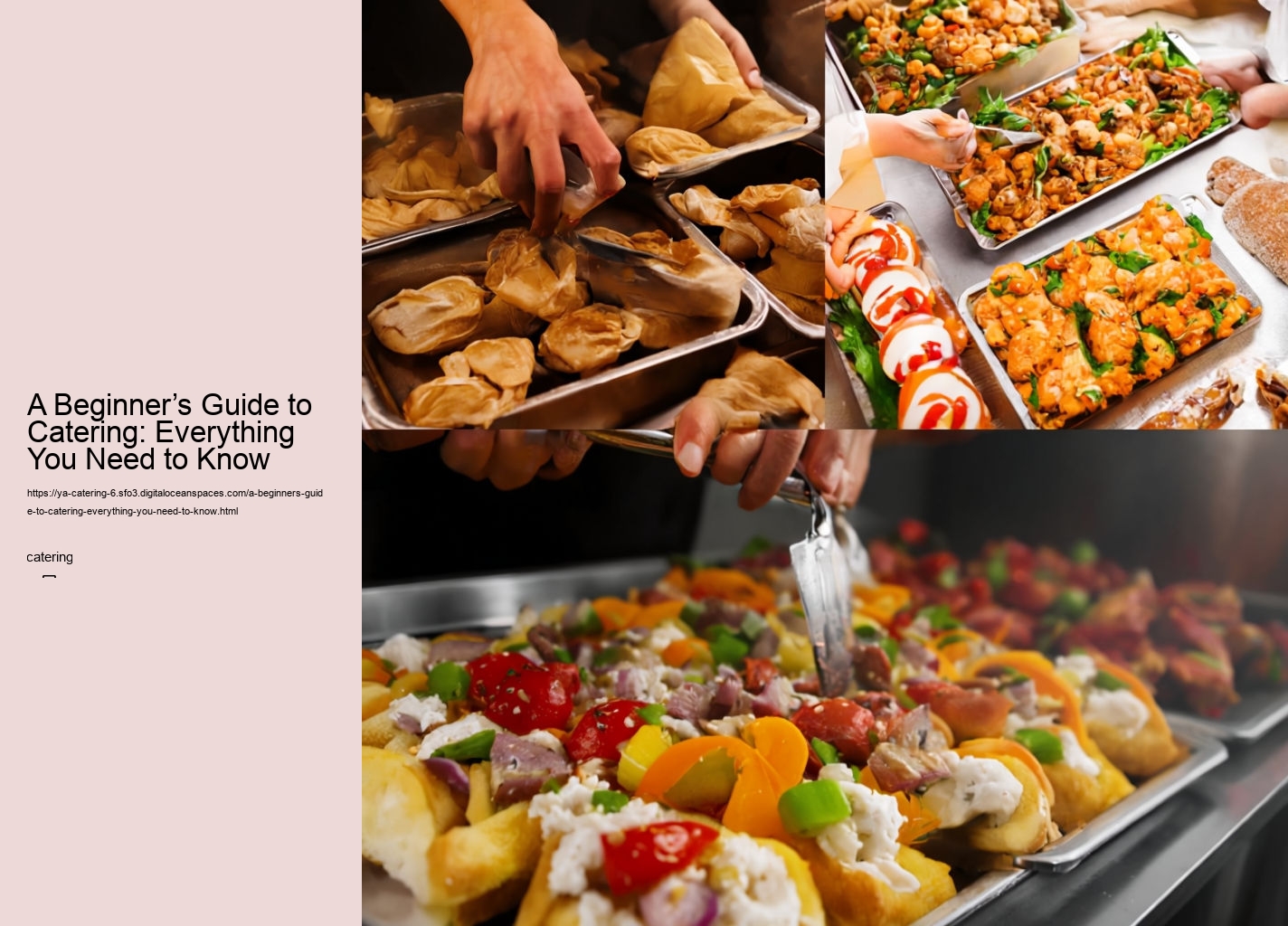 A Beginner’s Guide to Catering: Everything You Need to Know